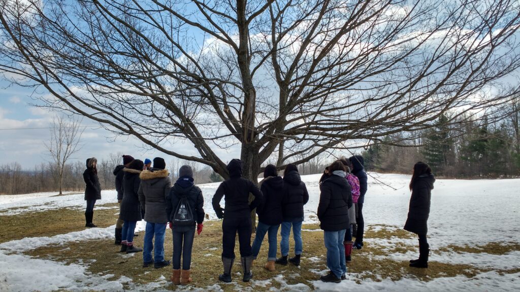 Group of students standing around a tree in winter
